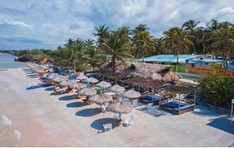 Palmarito at Tierra Bomba the big island